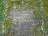 image of grave number 17545